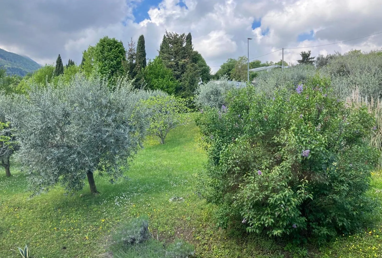 Happy Guest Apartments - Lake View And Pool Riva di Solto İtalya